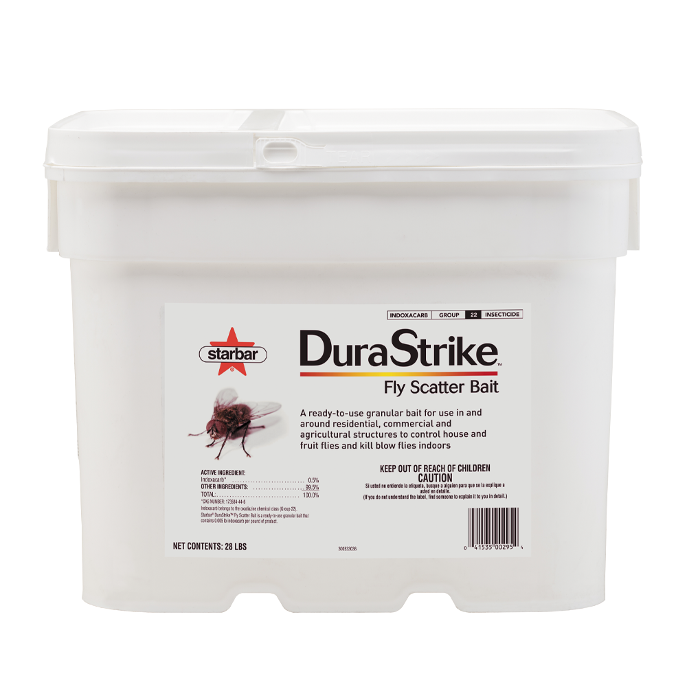 Fly bait to kill flies deals