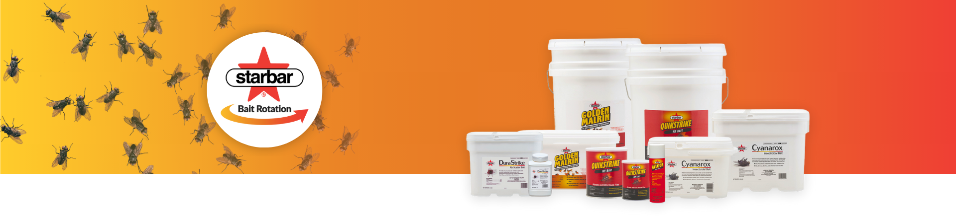 Starbar Bait Rotation Trial Program 1920 x 1080 px