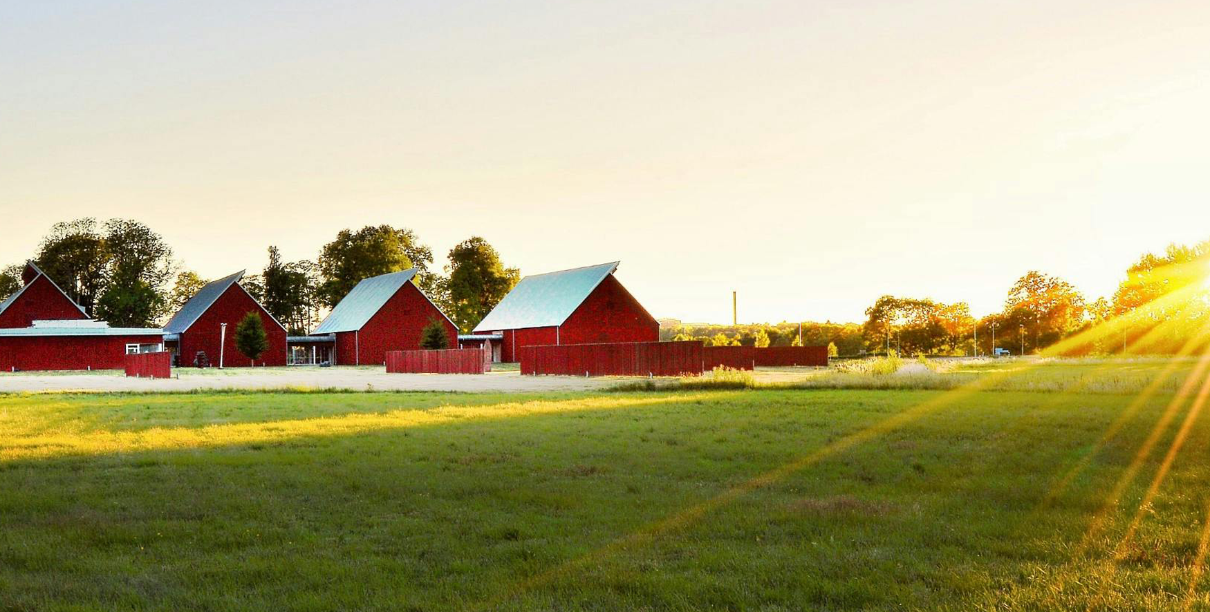 Farm with sunset