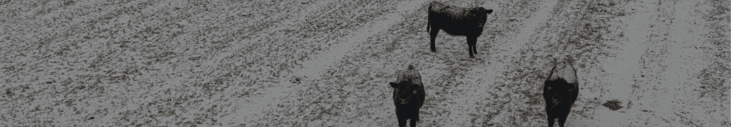 Winter Prep for Livestock Owners