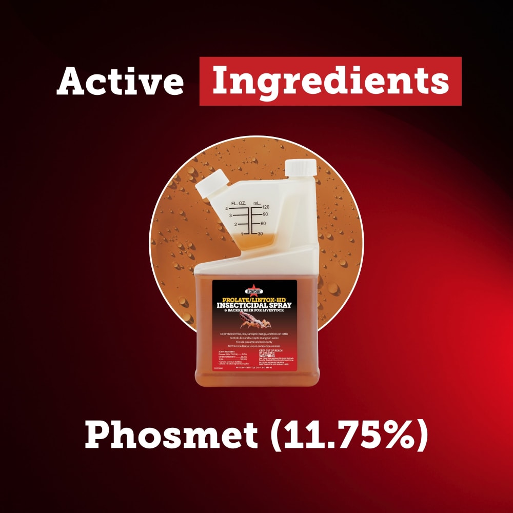 prolate-active-ingredients