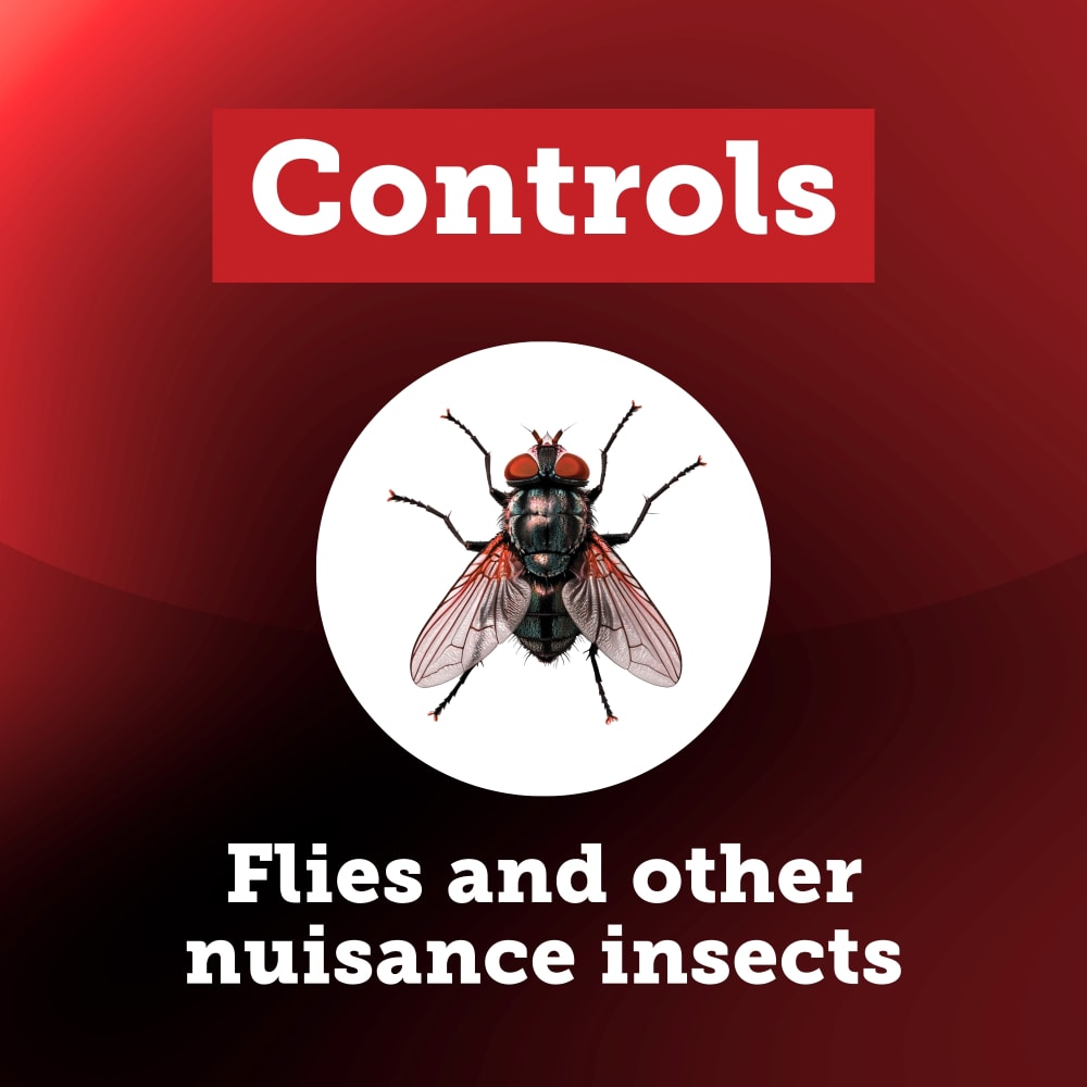 100550750-trapntoss-insects-controlled-carousel
