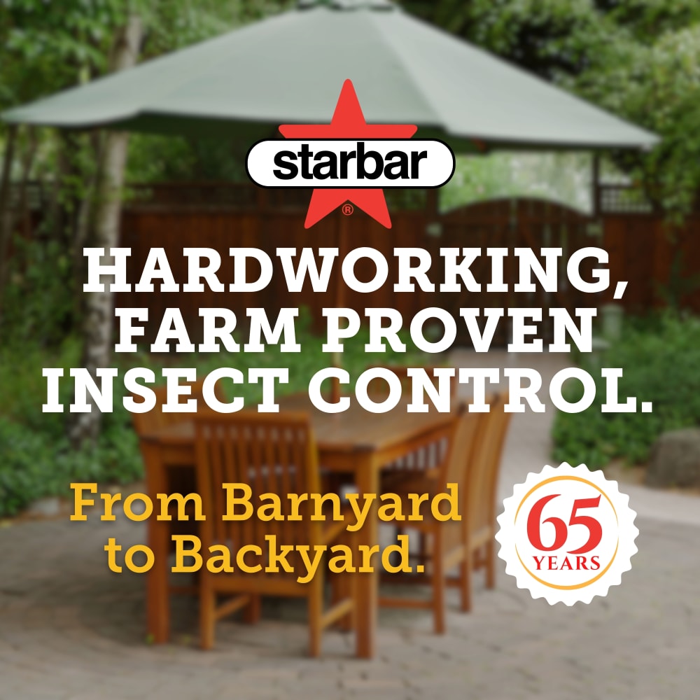 starbar-consumer-brand-intro-carousel