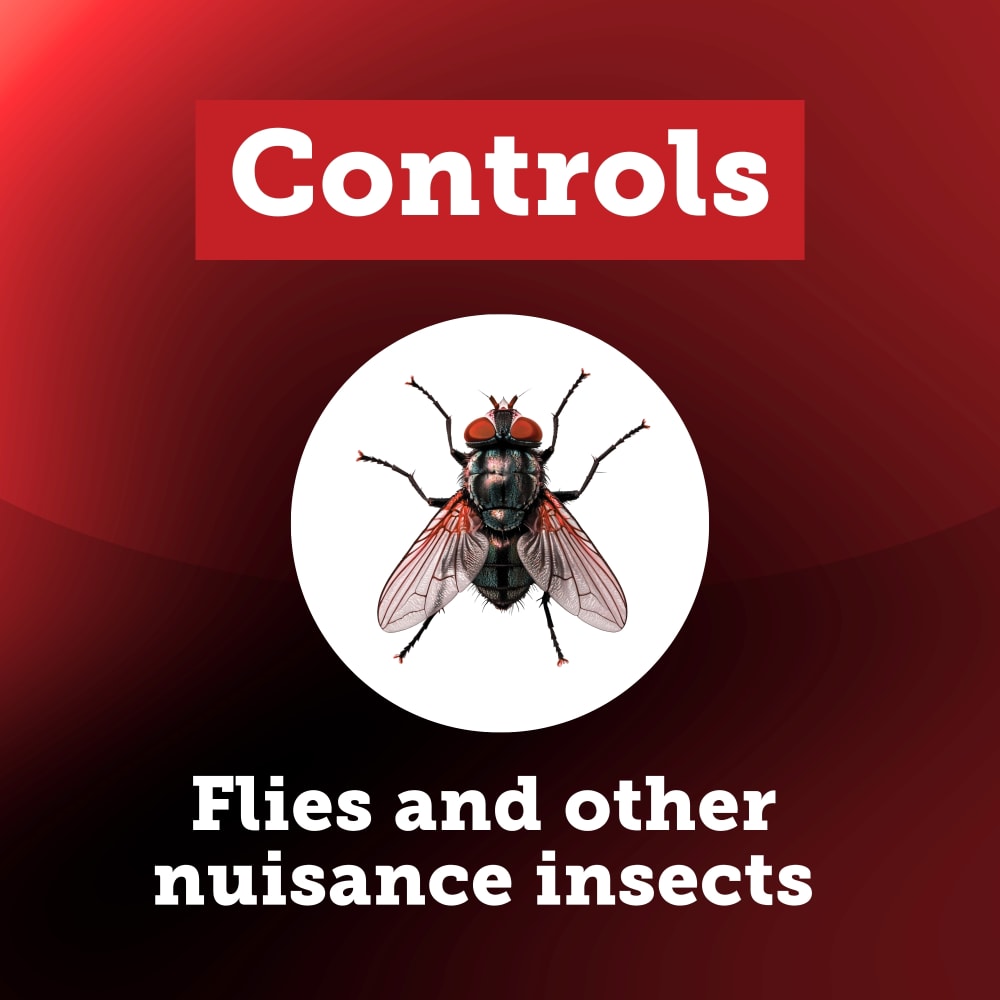 starbar-flyrelief-insects-controlled-carousel