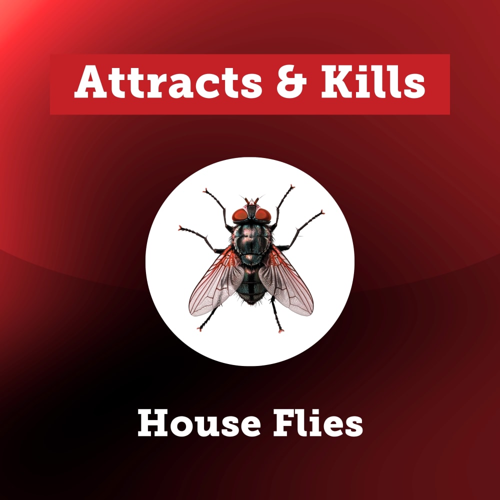 100552946-qsflybait-3lb-insects-controlled-carousel