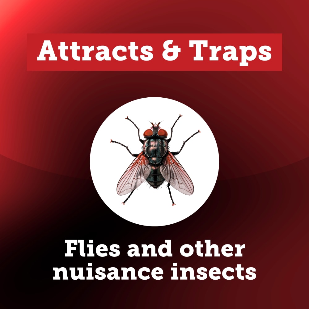 starbar-8in-flystik-insects-controlled-carousel