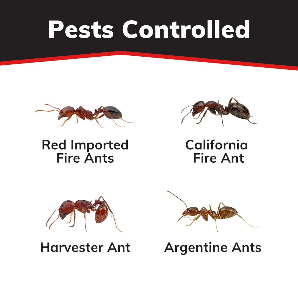 extinguish-plus-pests-controlled-carousel