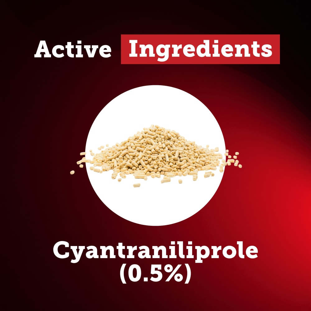 100535456-cyanarox-active-ingredients