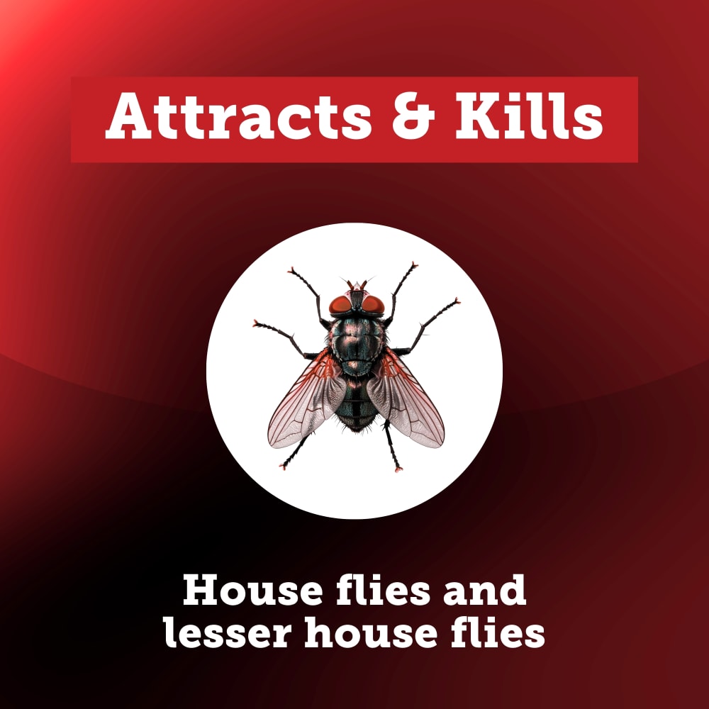 qsflybaitspray-insects-controlled