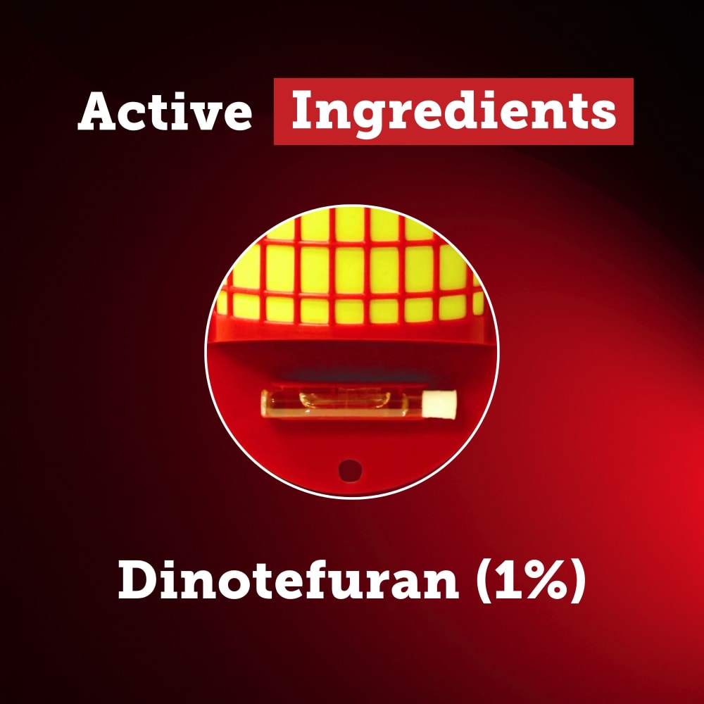qs-strip-active-ingredients