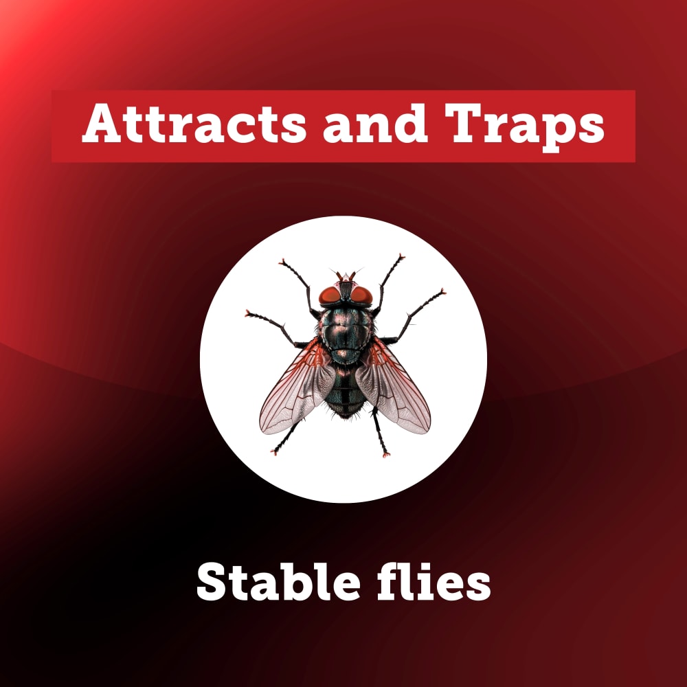 3005363-bitefree-insects-controlled-carousel