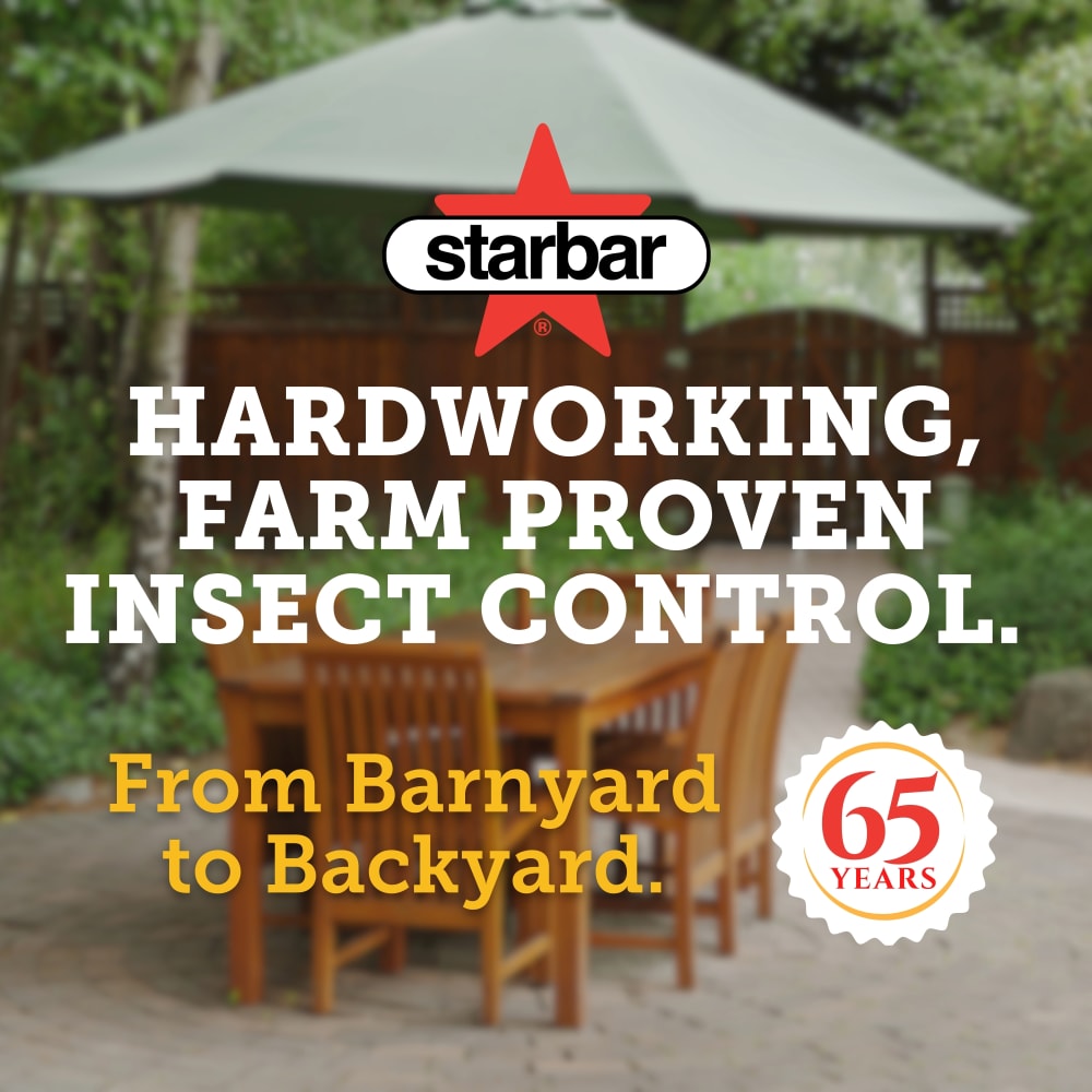 starbar-consumer-brand-intro-carousel