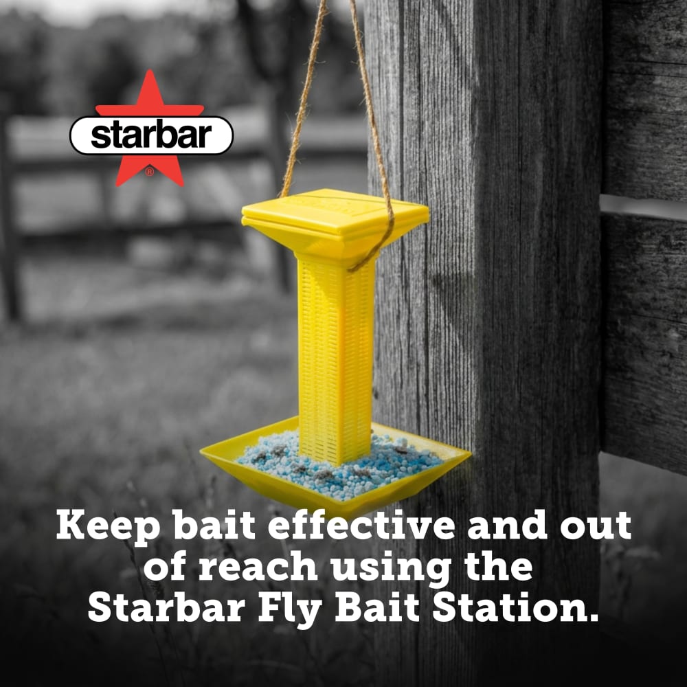 3006166-flybaitstation-rural-beauty-shot-carousel