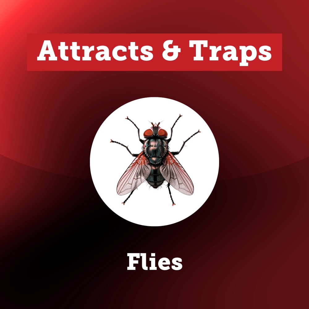 attractskills-flies-carousel