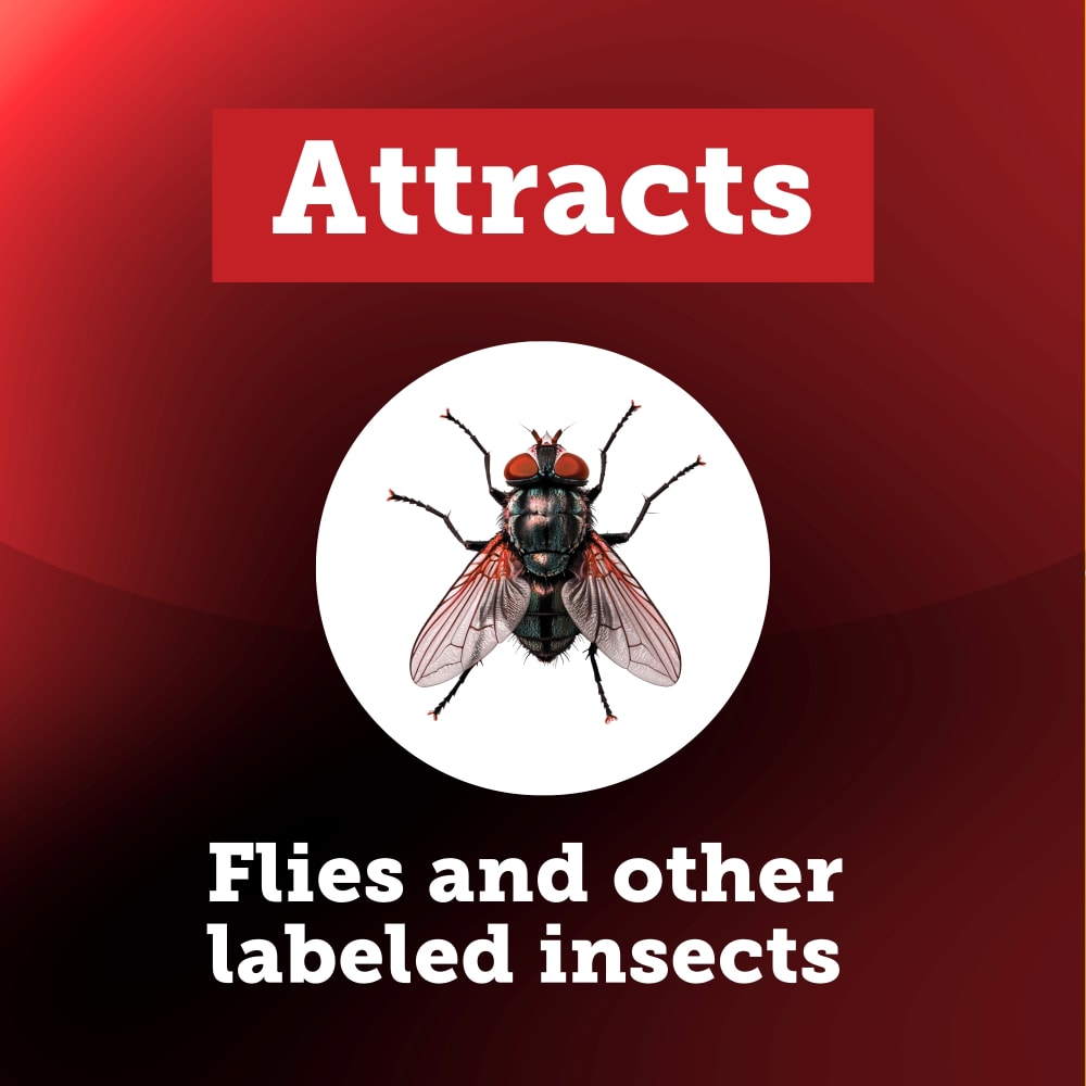 100523455-flytrapattractant-insects-controlled-carousel