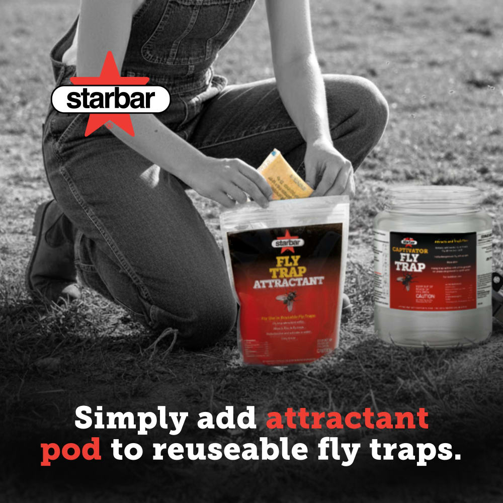 100523455-flytrapattractant-usage-carousel