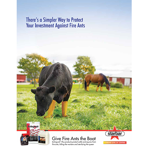 Extinguish Sell Sheet