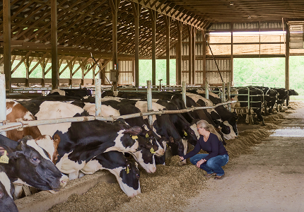 Mobile_1 by Application-Farm