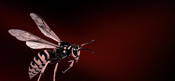 Banner Wasps - mobile