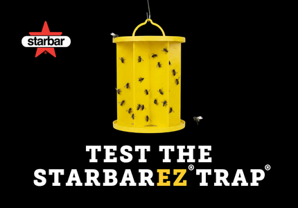 Starbar Home page Mobile (2)
